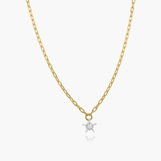 14K Two Tone Star Paper Clip Necklace - PKP09423ST25JK